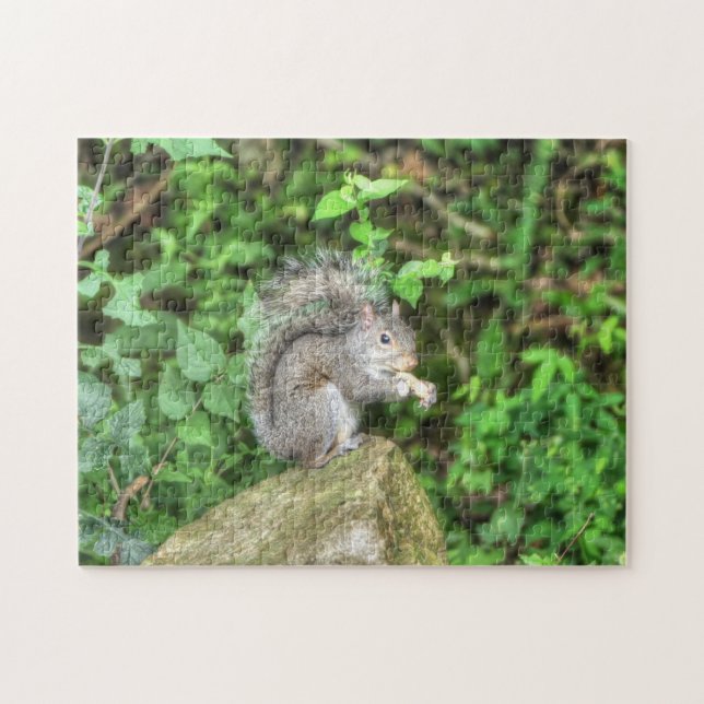 Squirrel Eating a Peanut Jigsaw Puzzle (Horizontal)