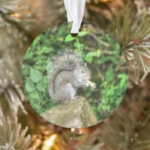 Squirrel Eating a Peanut Ornament