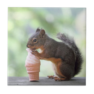 Squirrel Eating an Ice Cream Cone Ceramic Tile