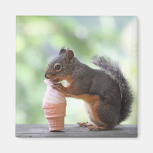 Squirrel Eating an Ice Cream Cone Magnet