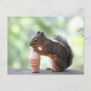 Squirrel Eating an Ice Cream Cone Postcard