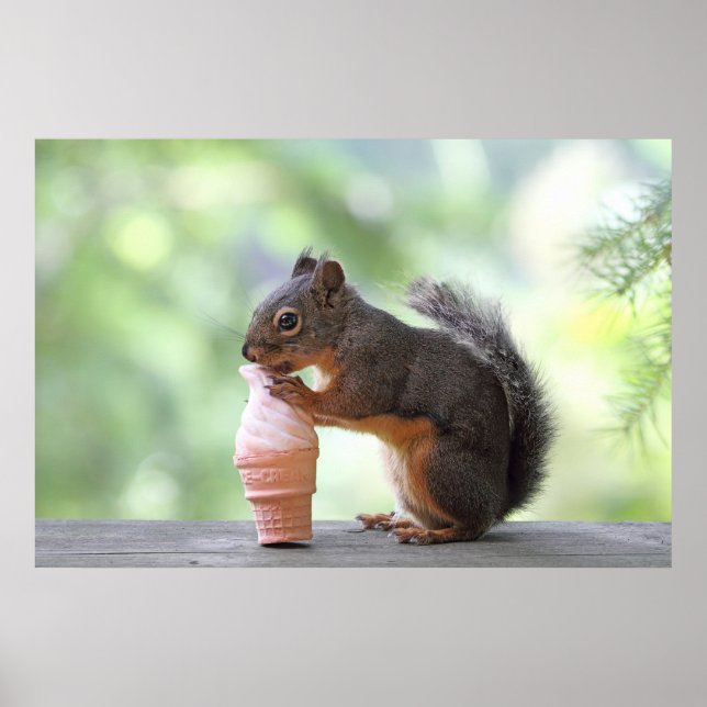 Squirrel Eating an Ice Cream Cone Poster (Front)