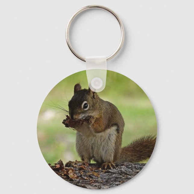 Squirrel eating Cone Key Ring (Front)