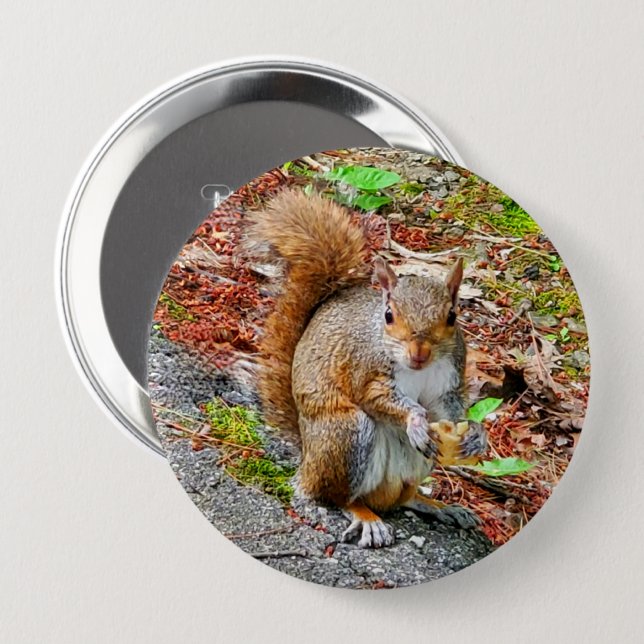 Squirrel Eating Food 10 Cm Round Badge (Front & Back)
