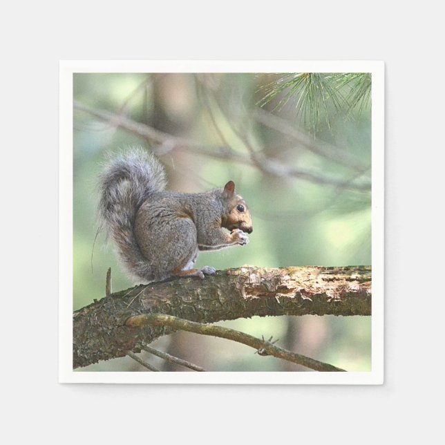 Squirrel Eating Lunch Paper Napkin (Front)