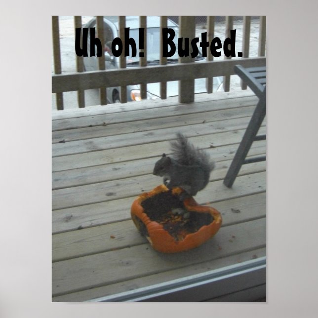 Squirrel eating pumpkin poster (Front)