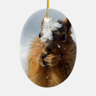 Squirrel Emerging from Snow Ceramic Ornament