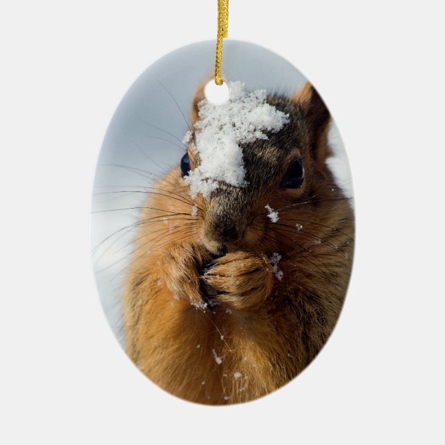 Squirrel Emerging from Snow Ceramic Ornament (Front)