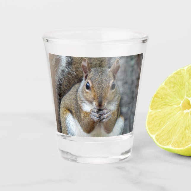 Squirrel Enjoying a Nut Shot Glass (Front)