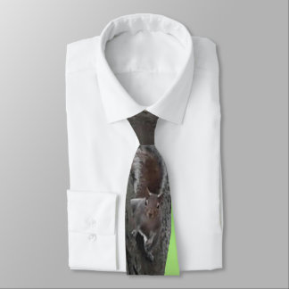 Squirrel Fanatic Tie