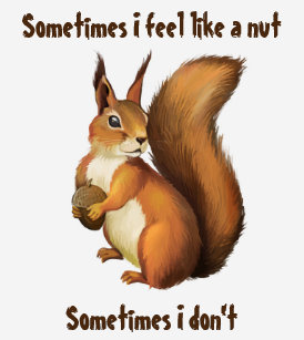 squirrel_feel_like_nut_womens_t_shirt_white_t_shirt-r8c625d4a2abd4e06a496713c729b7ce1_k2gml_307.jpg
