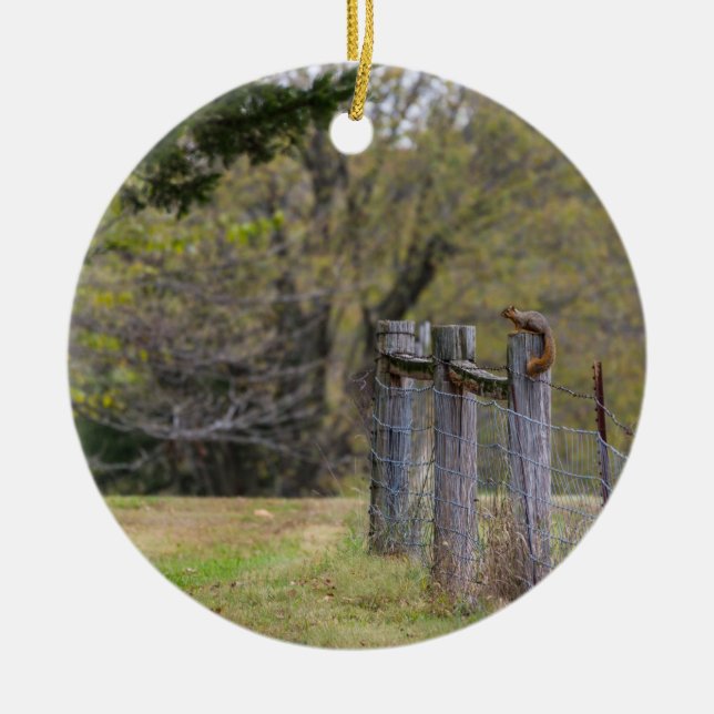 Squirrel Fence Pose Ceramic Ornament (Front)