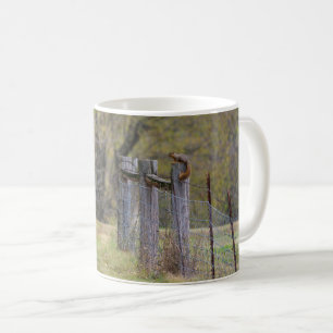 Squirrel Fence Pose Coffee Mug