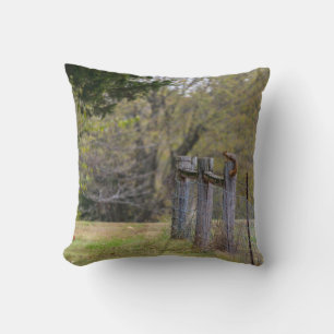 Squirrel Fence Pose Cushion
