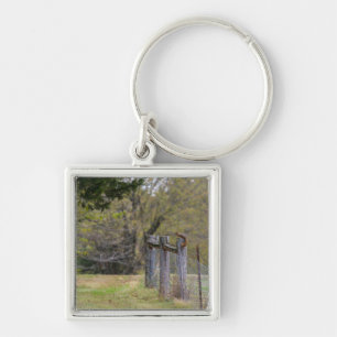 Squirrel Fence Pose Key Ring