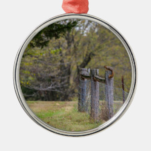 Squirrel Fence Pose Metal Ornament