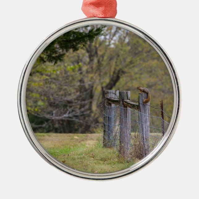 Squirrel Fence Pose Metal Ornament (Front)