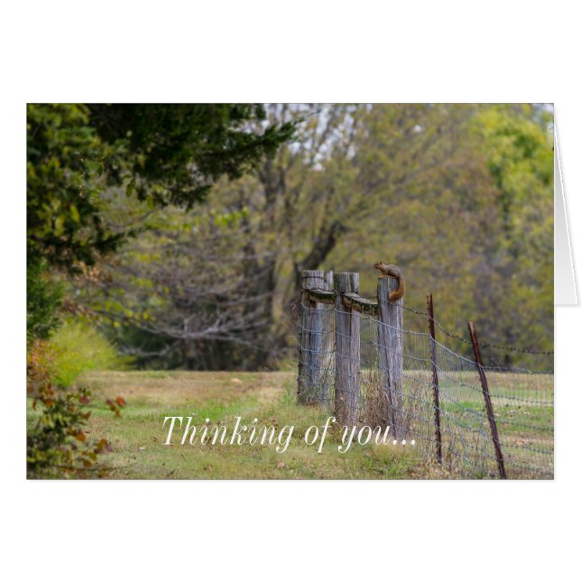 Squirrel Fence Pose Thinking Of You Card (Front Horizontal)