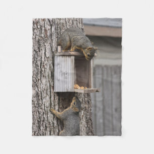Squirrel Fleece Blanket