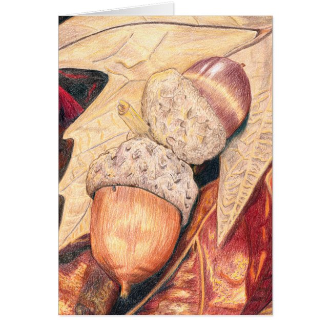 Squirrel Food (Front)