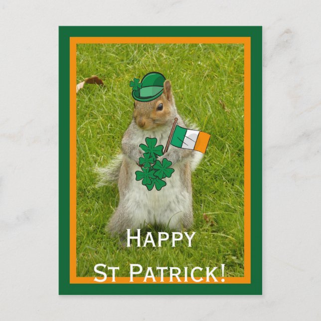 Squirrel for St Patrick Day Postcard (Front)