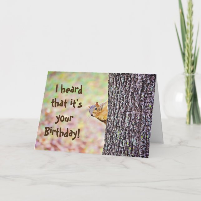 Squirrel Funny Birthday Card (Front)