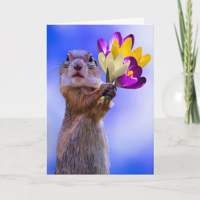 SQUIRREL GET WELL GREETING CARDS (Front)