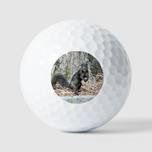 Squirrel golf balls