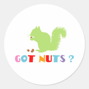 Squirrel Got Nuts? Classic Round Sticker