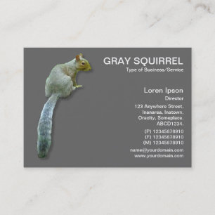 Squirrel - Grey Business Card