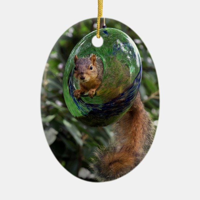 Squirrel Hanging Around Ceramic Ornament (Front)