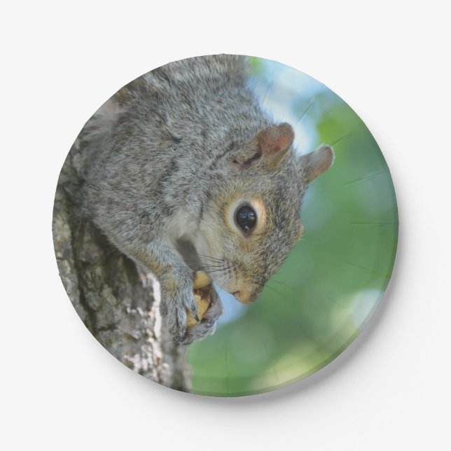 Squirrel Hanging in A Tree Paper Plate (Front)