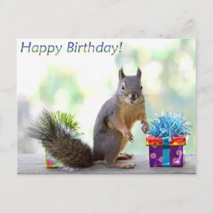 Squirrel Happy Birthday! Postcard