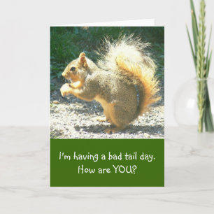 SQUIRREL/HAVING BAD TAIL DAY/HUMOROUS/HOW ARE YOU? CARD