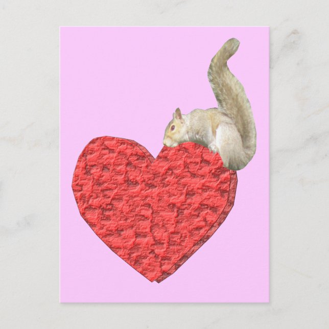 Squirrel Heart Pink Postcard (Front)