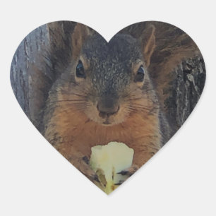 Squirrel Heart Sticker