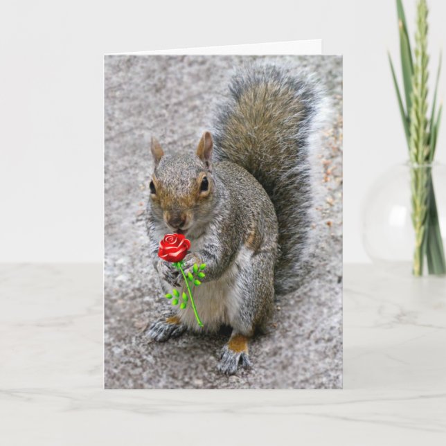 Squirrel Holding a Red Rose Valentine's Card (Front)
