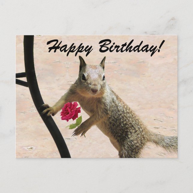 Squirrel Holding a Rose Birthday Greeting Card (Front)