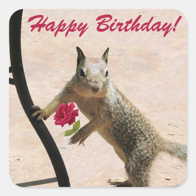 Squirrel Holding a Rose Birthday Greeting Card Square Sticker (Front)