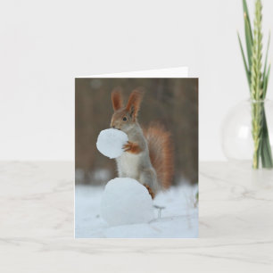 Squirrel Holding & Nibbling Snowball Holiday Card