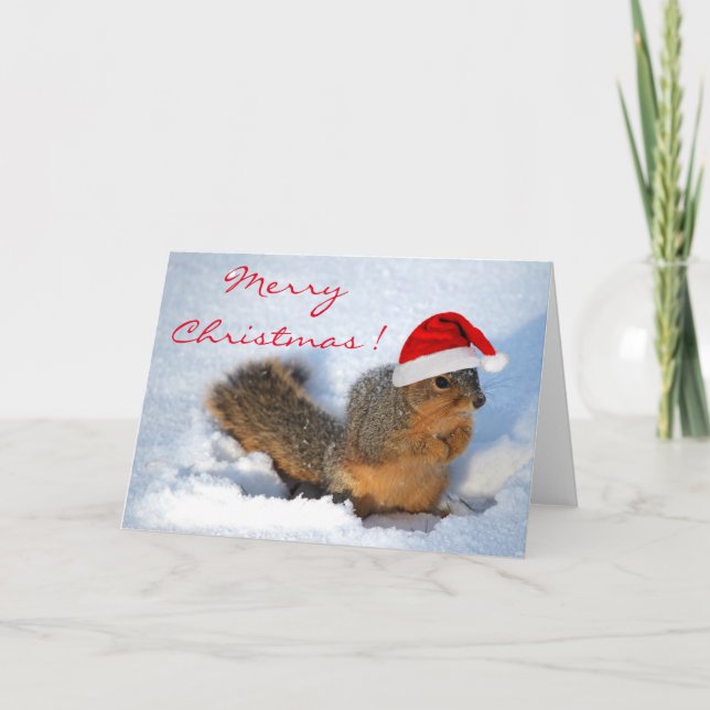 Squirrel Holiday Card (Front)
