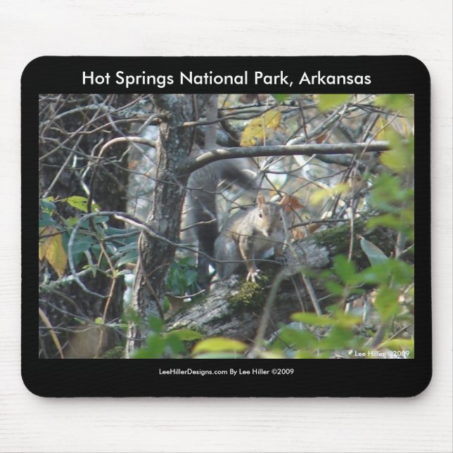 Squirrel Hot Springs Nat'l Park Mt., AR Peak Trail Mouse Pad (Front)