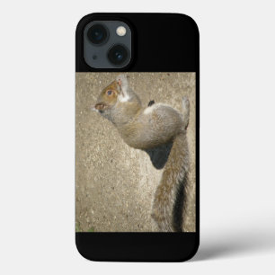 Squirrel Hungry Horatio iPhone 13 Case
