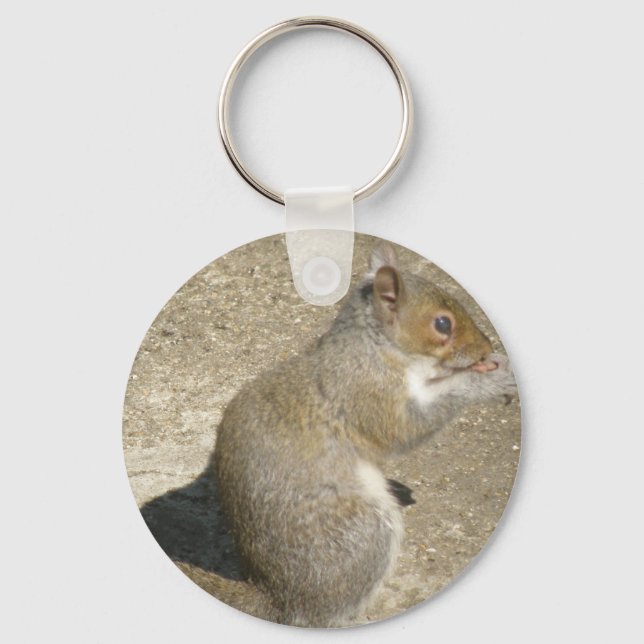 Squirrel Hungry Horatio Keychain (Front)