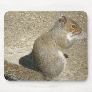 Squirrel Hungry Horatio Mousepad