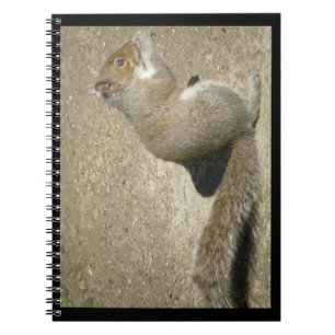 Squirrel Hungry Horatio Notebook