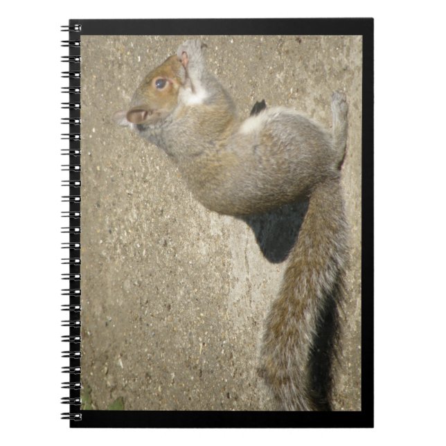 Squirrel Hungry Horatio Notebook (Front)