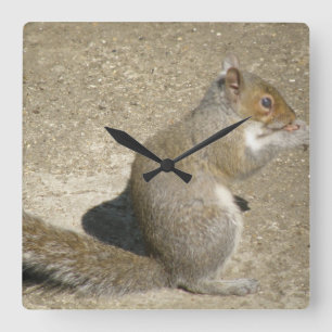 Squirrel Hungry Horatio Wall Clock