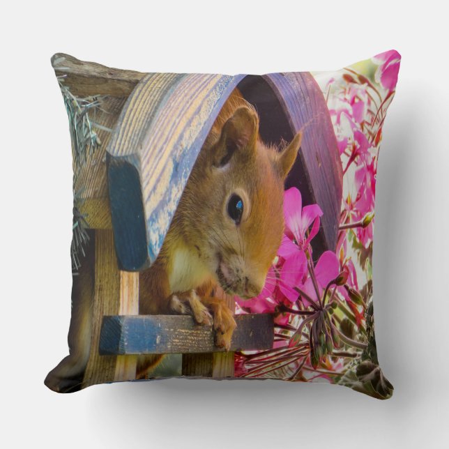 Squirrel In A Birdhouse Cushion (Front)