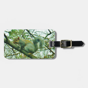 Squirrel in a Light Blue Mist Luggage Tag